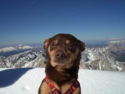 33_roger over 3000.JPG